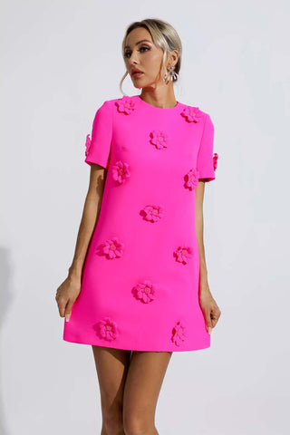 Alison Pink Jacquard Floral Mini Dress