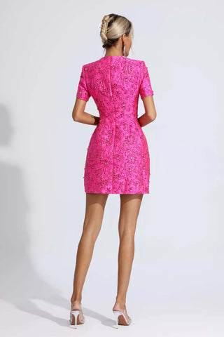 Astrid Pink Jacquard Floral Mini Dress