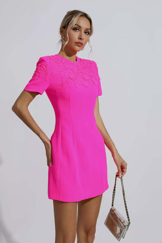 Braelynn Pink Jacquard Floral Mini Dress
