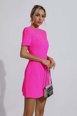 Braelynn Pink Jacquard Floral Mini Dress