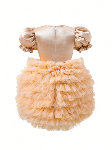 Young Girl Gorgeous Elegant Tutu Dress In Champagne Color Contrast Mesh Dress Perfect For Formal Occasions
